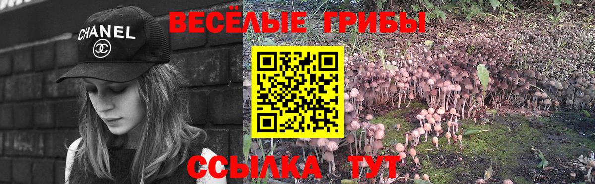 Сердобск  Галлюциногенные грибы GOLDEN TEACHER  Вход с VPN 